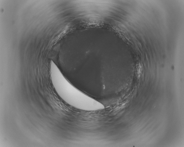 X0000088590916200706151732