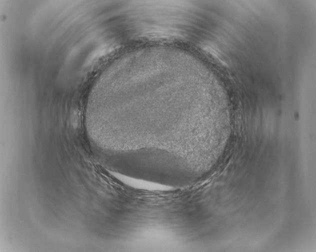 X0000088590917200706151732