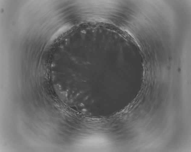 X0000088590919200706151732