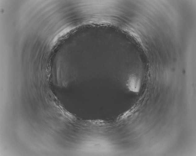 X0000088590920200706151732