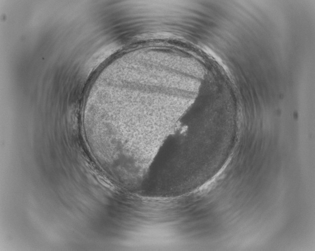 X0000088590921200706151732