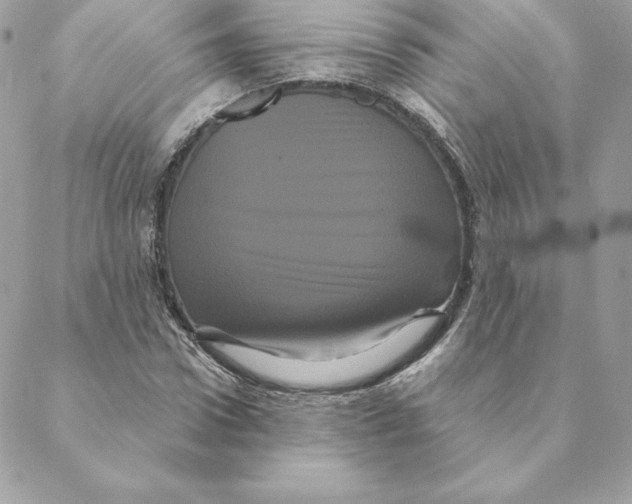 X0000088590922200706151732