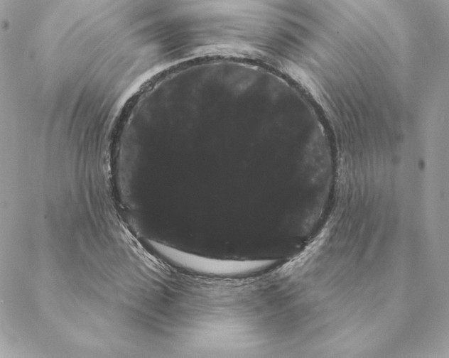 X0000088590923200706151732