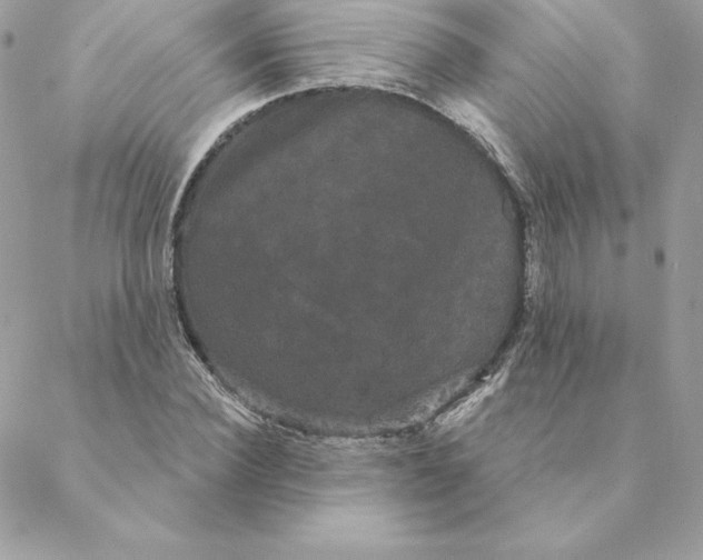 X0000088590924200706151732