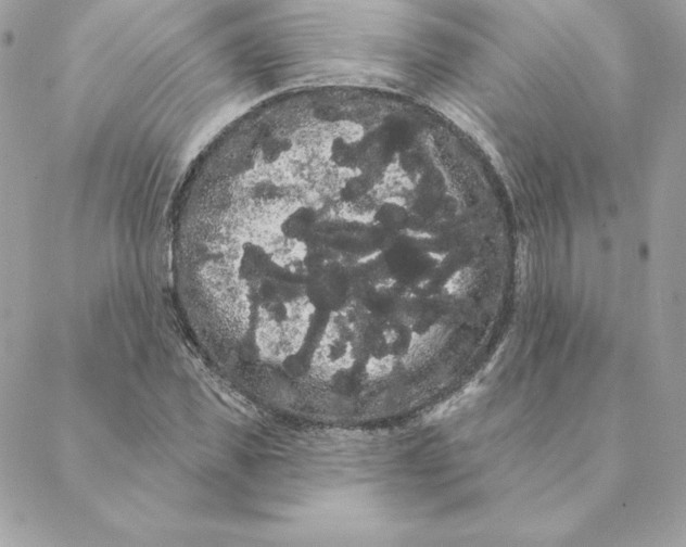 X0000088590925200706151732