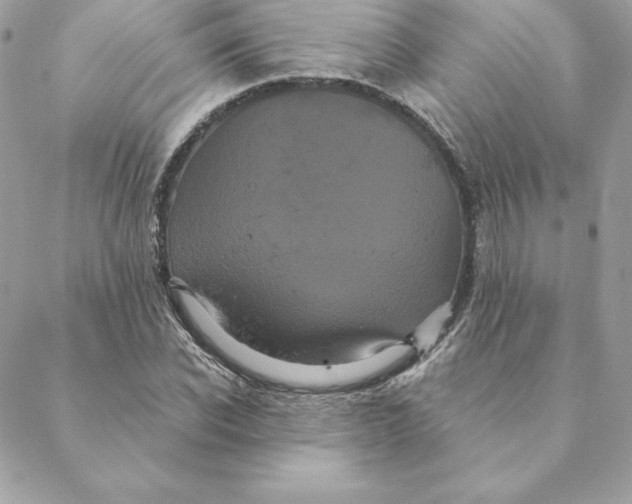 X0000088590926200706151732