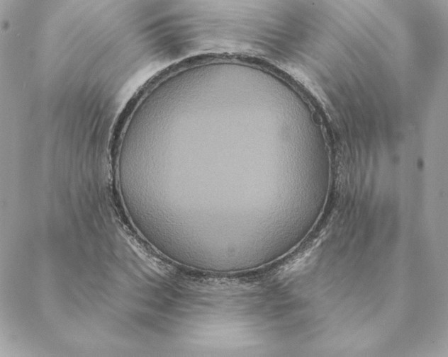 X0000088590927200706151733