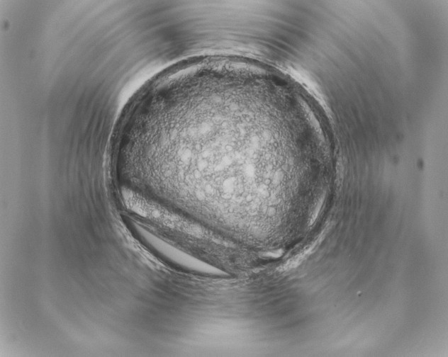 X0000088590928200706151733