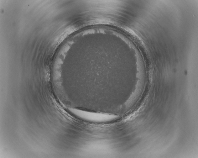 X0000088590929200706151733