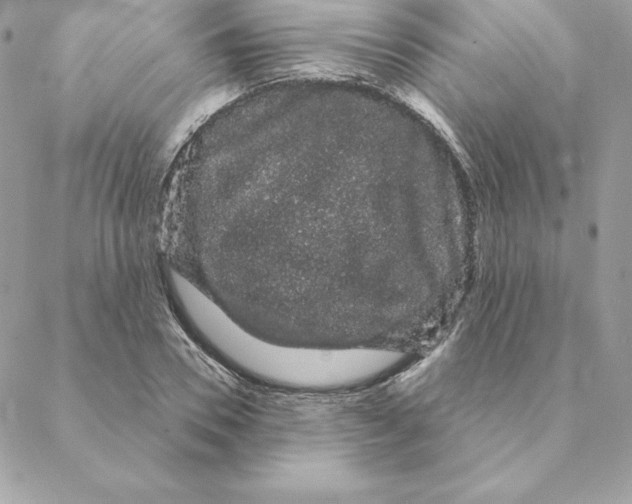 X0000088590930200706151733