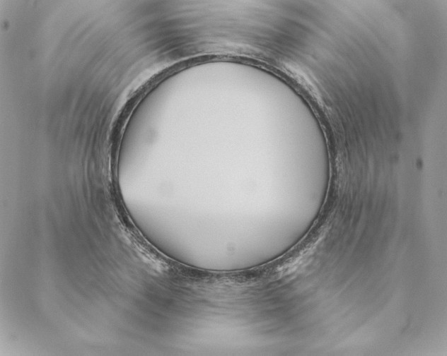 X0000088590931200706151733