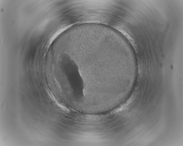 X0000088590933200706151733