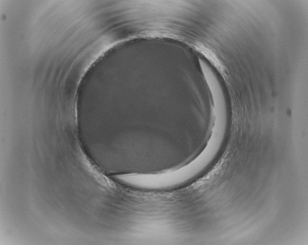 X0000088590934200706151733