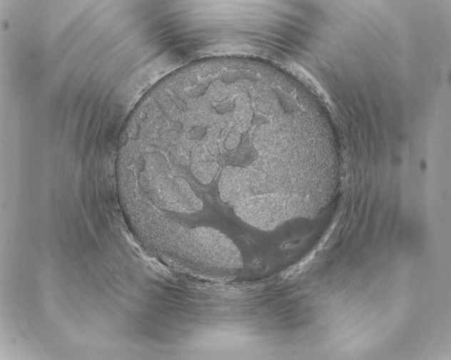 X0000088590937200706151733