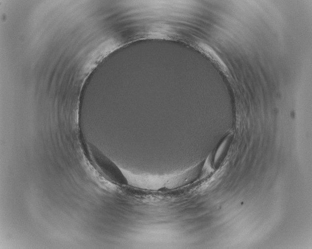 X0000088590938200706151733