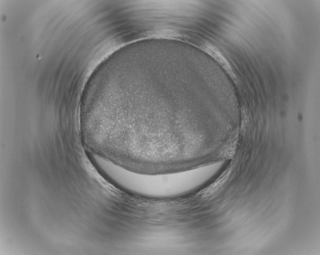 X0000088590939200706151733