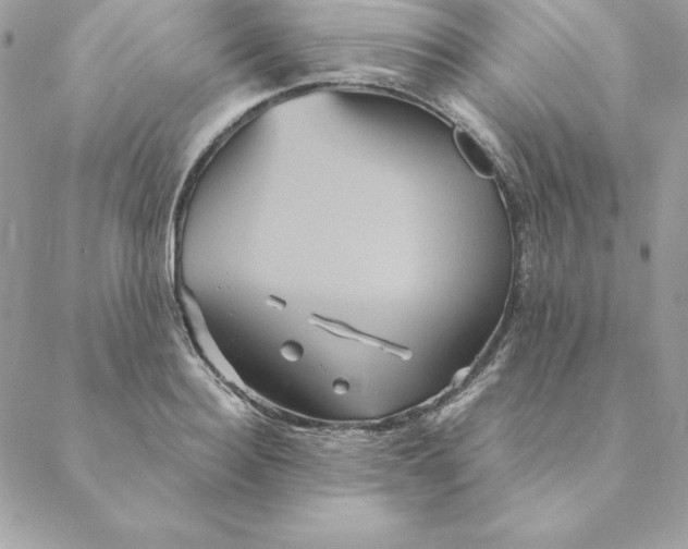 X0000088590940200706151733