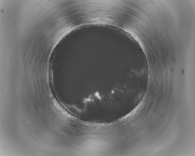 X0000088590941200706151733