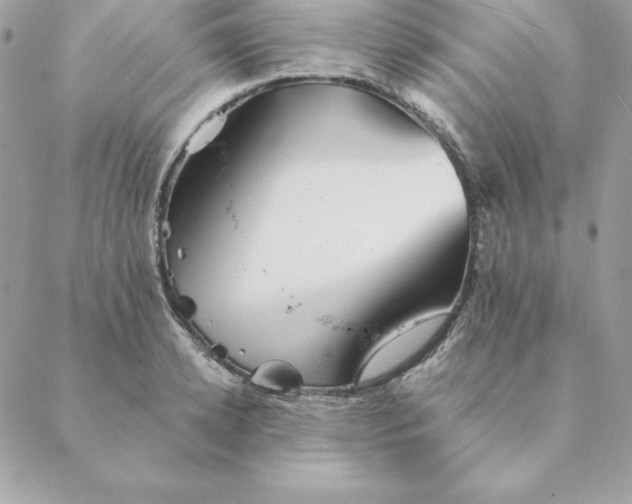 X0000088590942200706151733