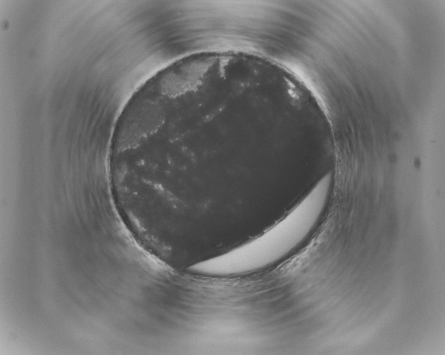 X0000088590943200706151733