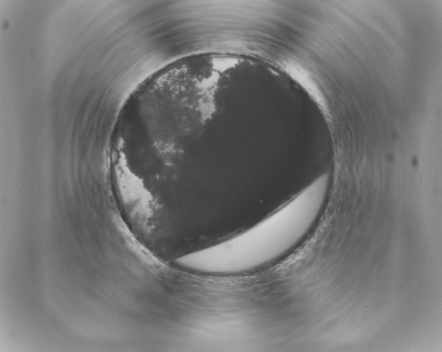 X0000088590944200706151733