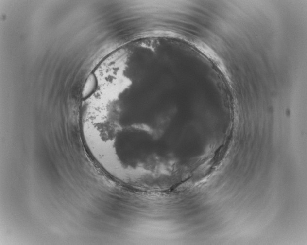 X0000088590945200706151733