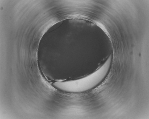 X0000088590946200706151733