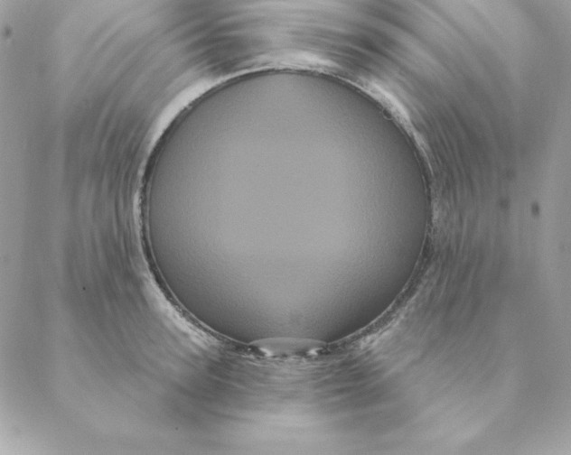 X0000088590947200706151733