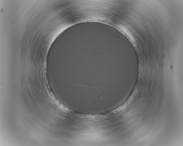 X0000088590948200706151733