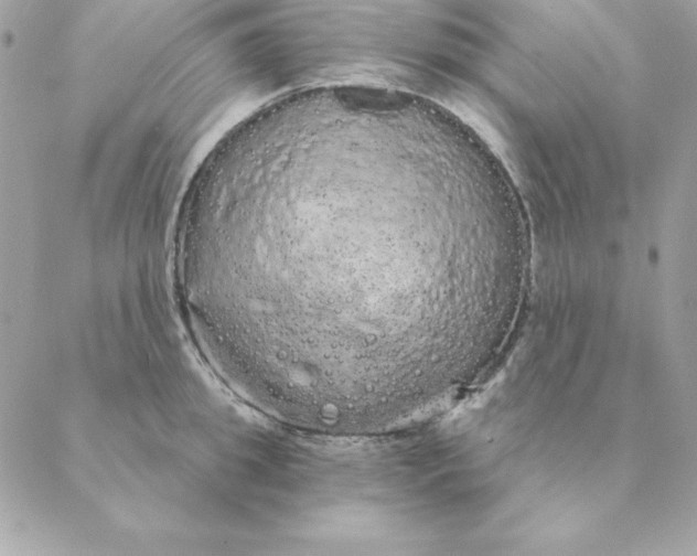 X0000088590949200706151733