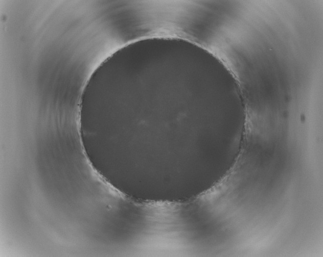 X0000088590950200706151733