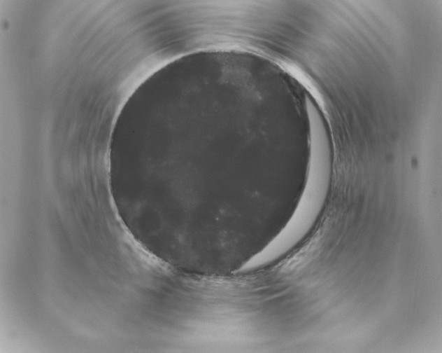 X0000088590951200706151733