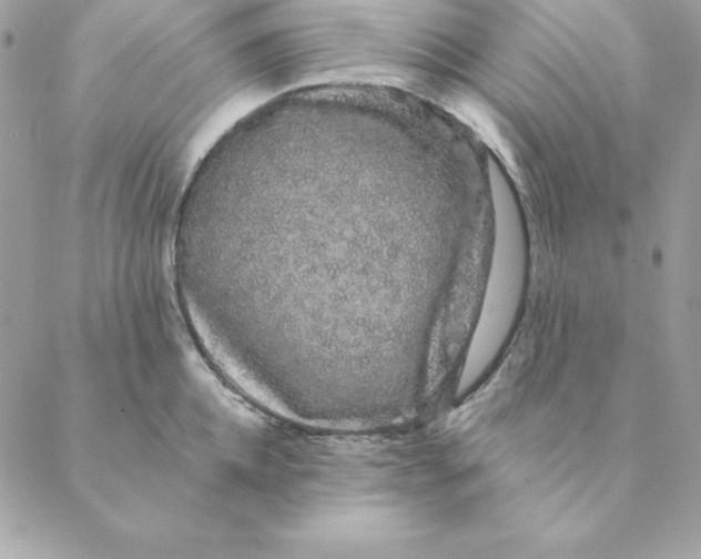 X0000088590952200706151733