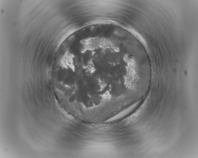 X0000088590953200706151733