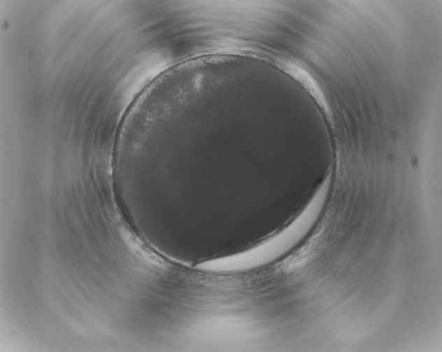 X0000088590954200706151733