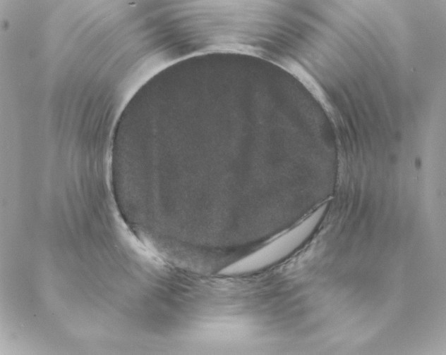 X0000088590955200706151733