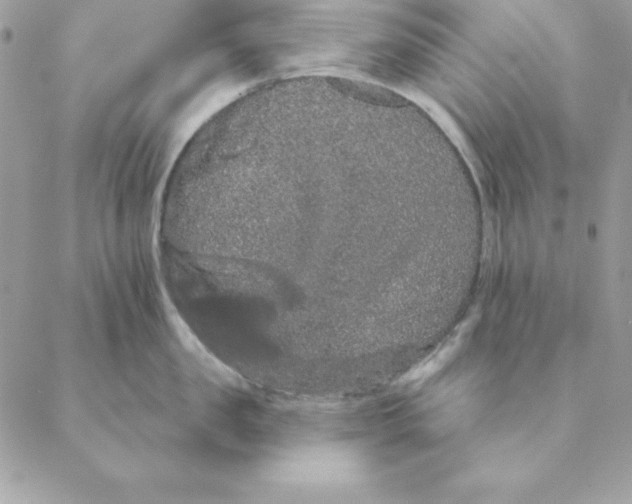 X0000088590957200706151733