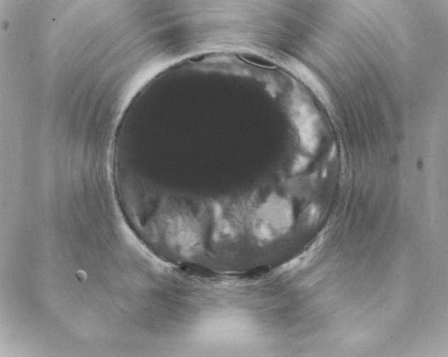 X0000088590958200706151733