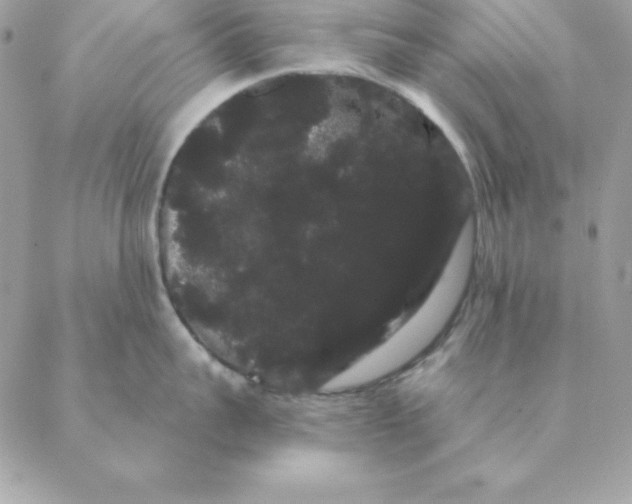 X0000088590959200706151733