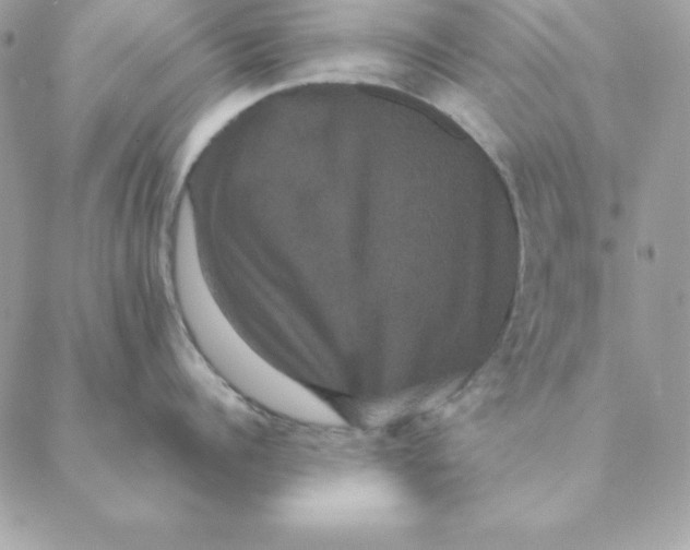 X0000088590960200706151733