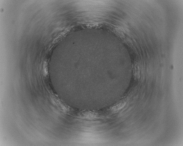 X0000088590962200706151732