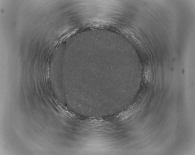 X0000088590964200706151732