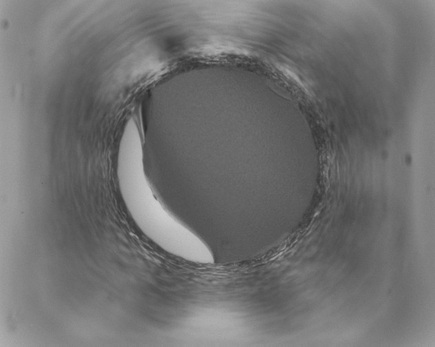 X0000088590965200706151732