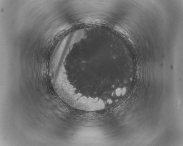 X0000088590966200706151732