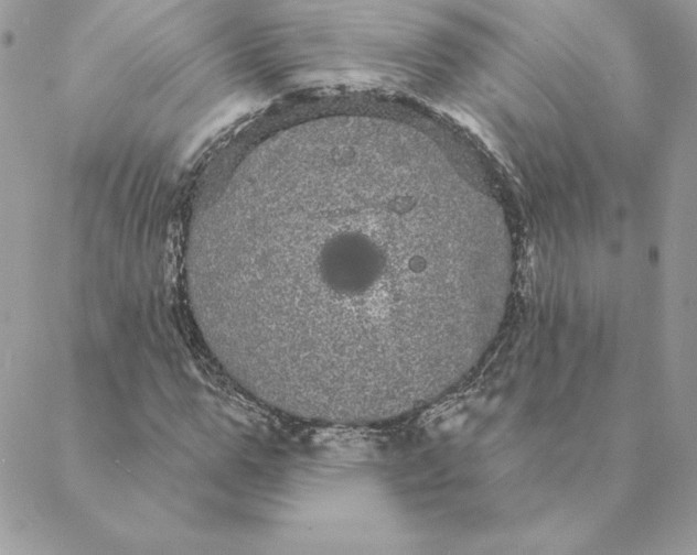 X0000088590967200706151732