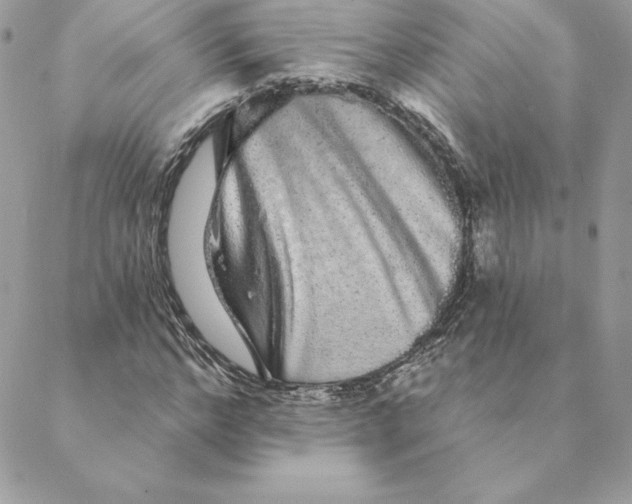 X0000088590968200706151732