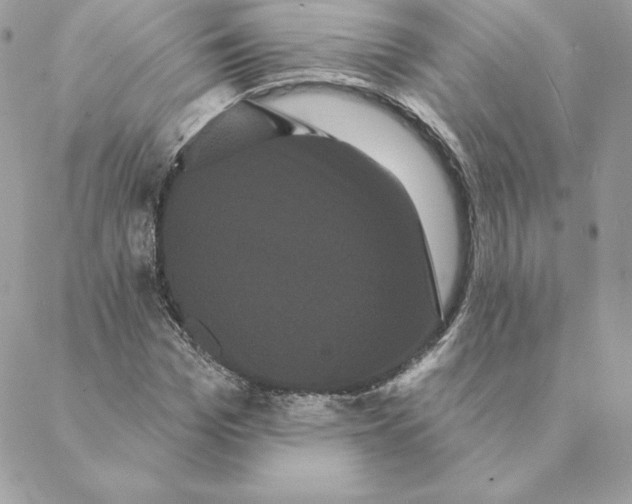 X0000088590969200706151732