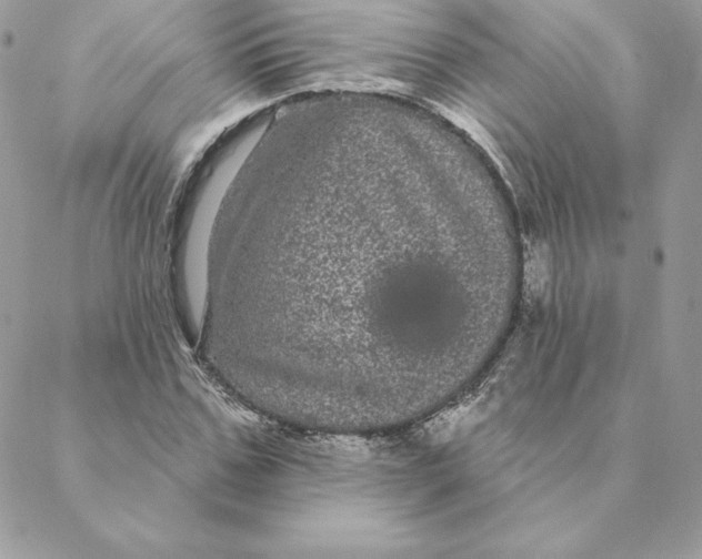 X0000088590971200706151732