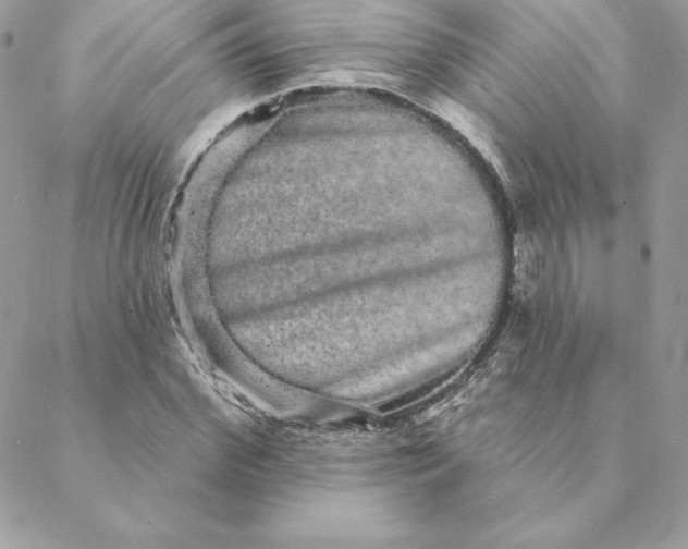 X0000088590972200706151732