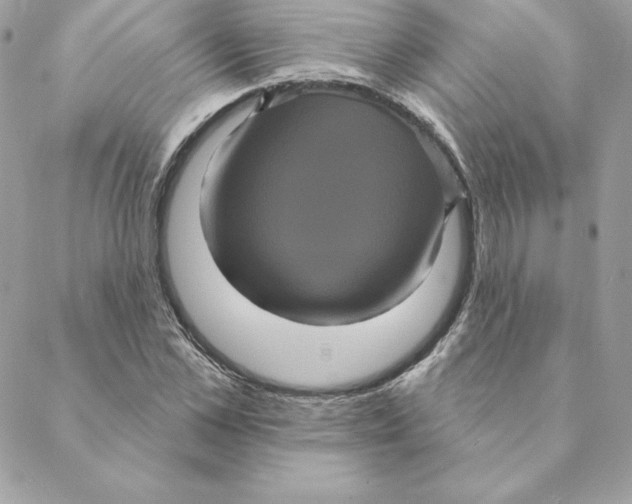 X0000088590973200706151732